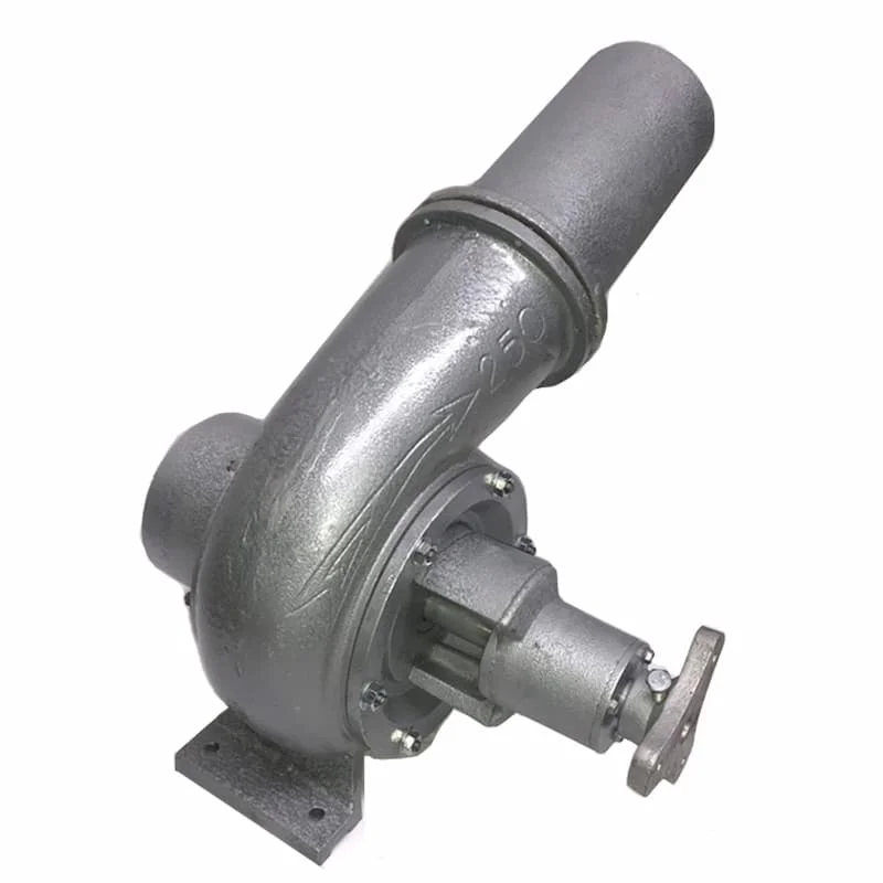 Hình ảnh minh họa (2)