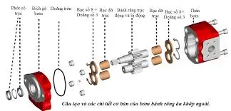 httpstank.vnthong-so-bom-thuy-luc-banh-rang.html