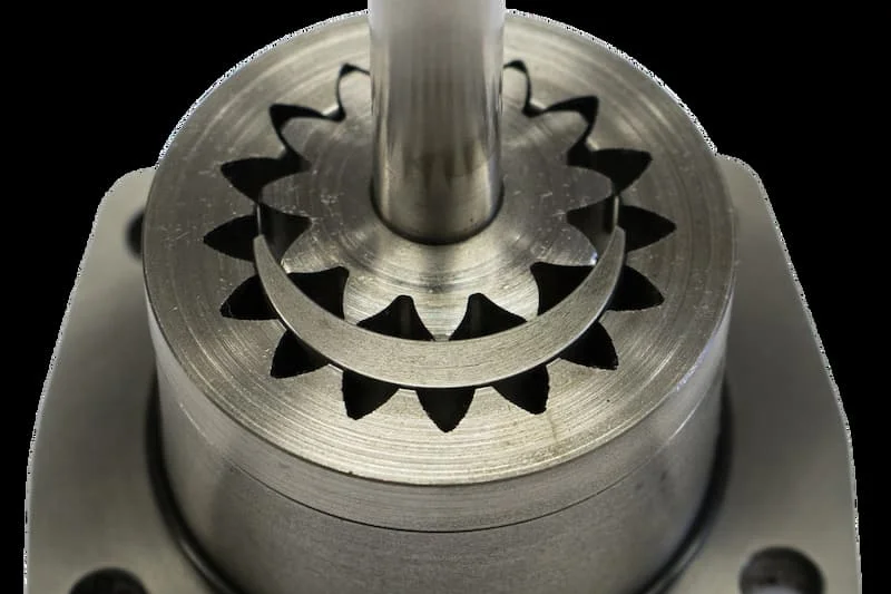 Hfinh ảnh minh họa (2)