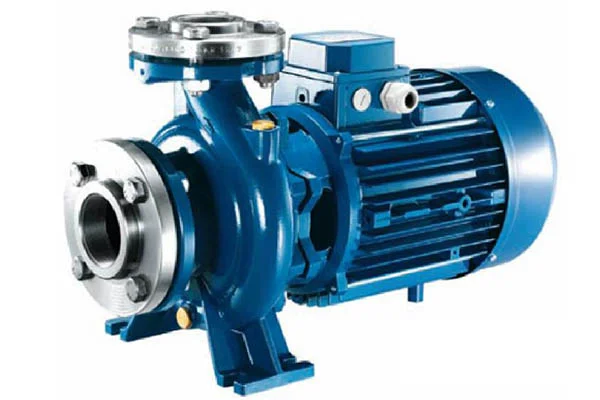 Hình ảnh minh họa 2