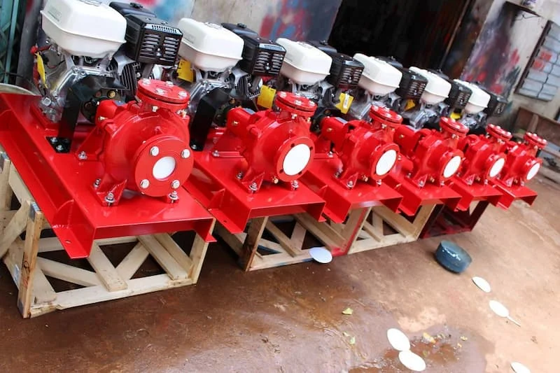 Hình ảnh minh họa (2)