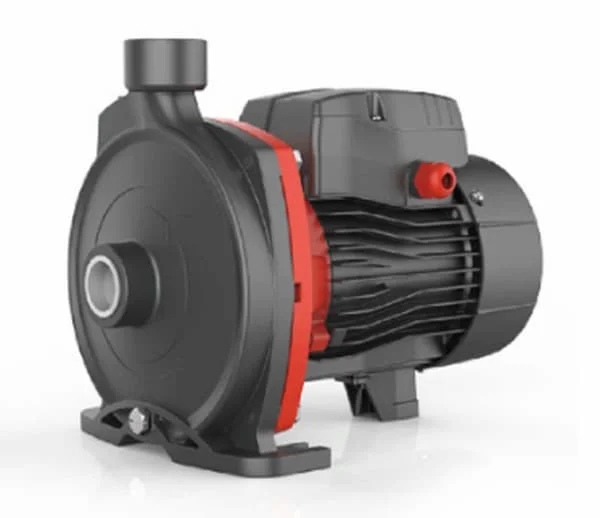 Hình ảnh minh họa (2)