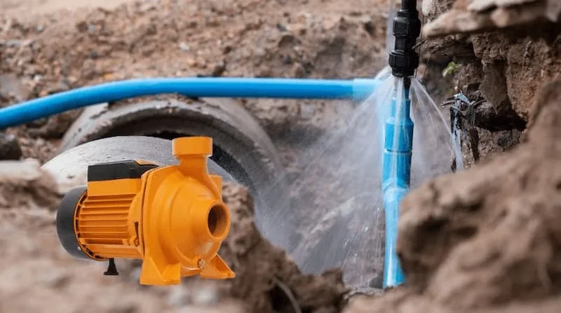 Hình ảnh minh họa (2)