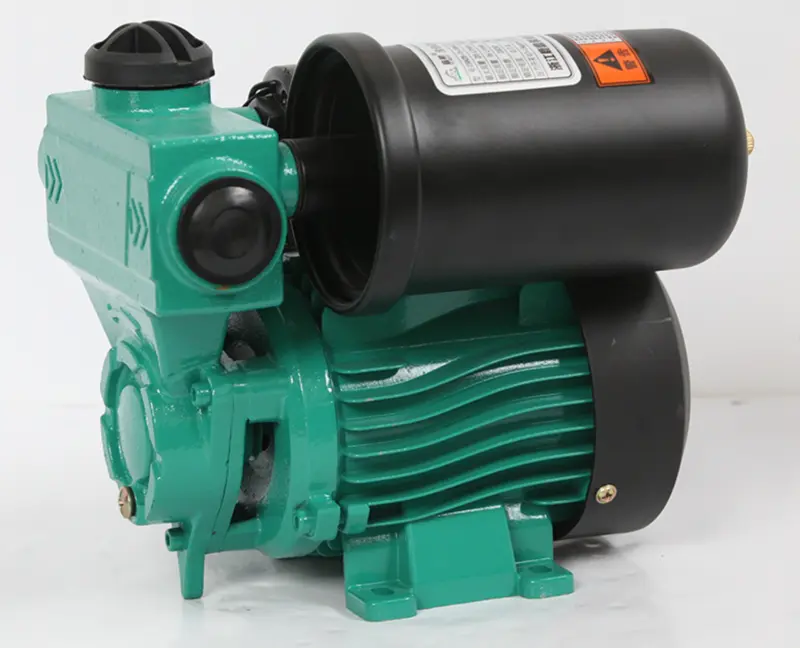 Máy bơm nước Electric Water Pump 2