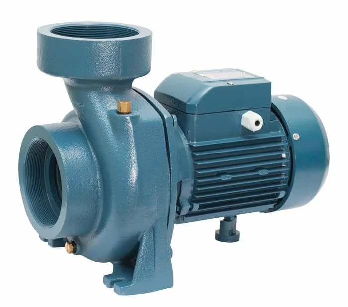 Hình ảnh minh họa (1)