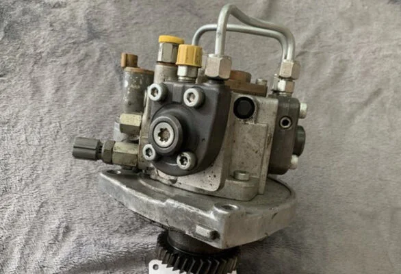 Hình ảnh minh họa 2