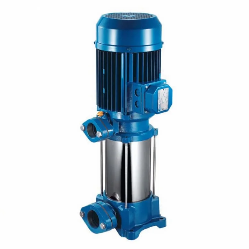 Hình ảnh minh họa (1)