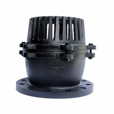 Hình ảnh minh họa (2)