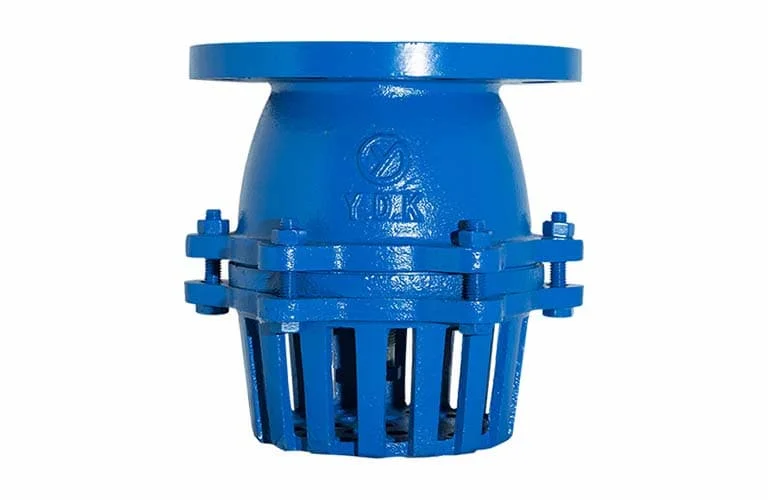 Hình ảnh minh họa (1)