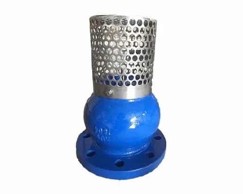 Hình ảnh minh họa (2)