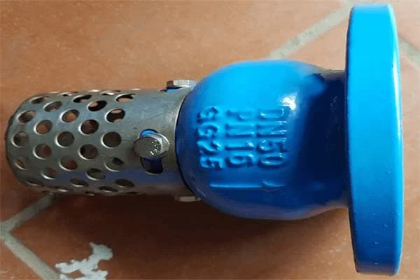 Hình ảnh minh họa (1)