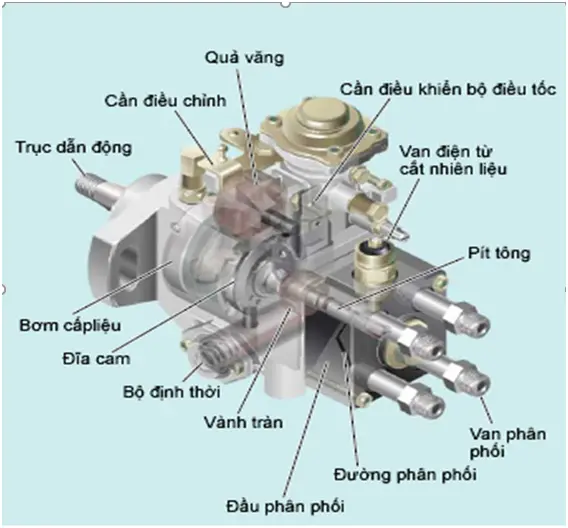 Hình ảnh minh họa (2)