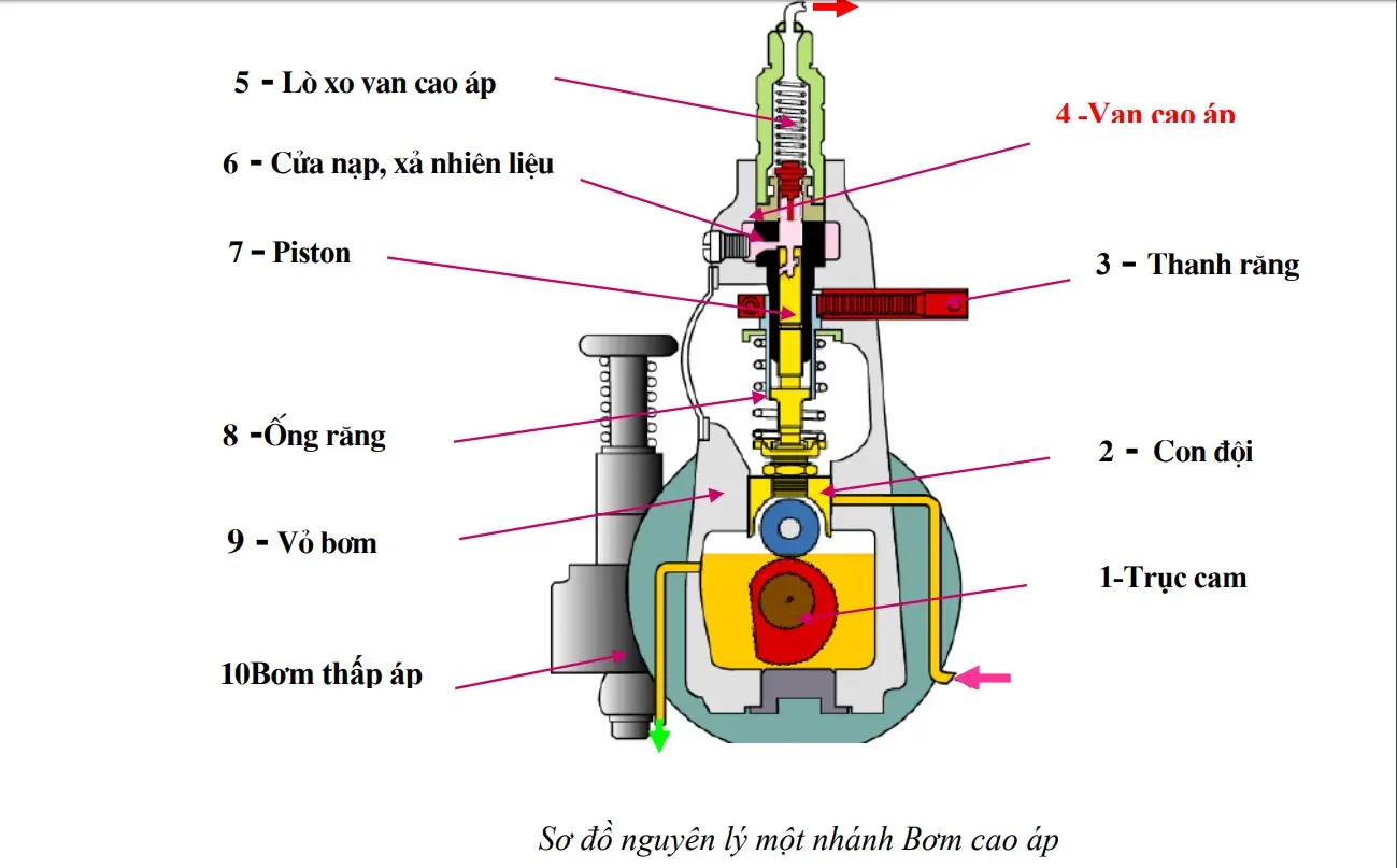 Hình ảnh minh họa (1)