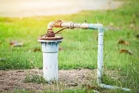 Hình ảnh minh họa (2)