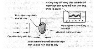 Hình 2: Dùng màn tinh thể thạch anh để dò tìm các dao động siêu âm